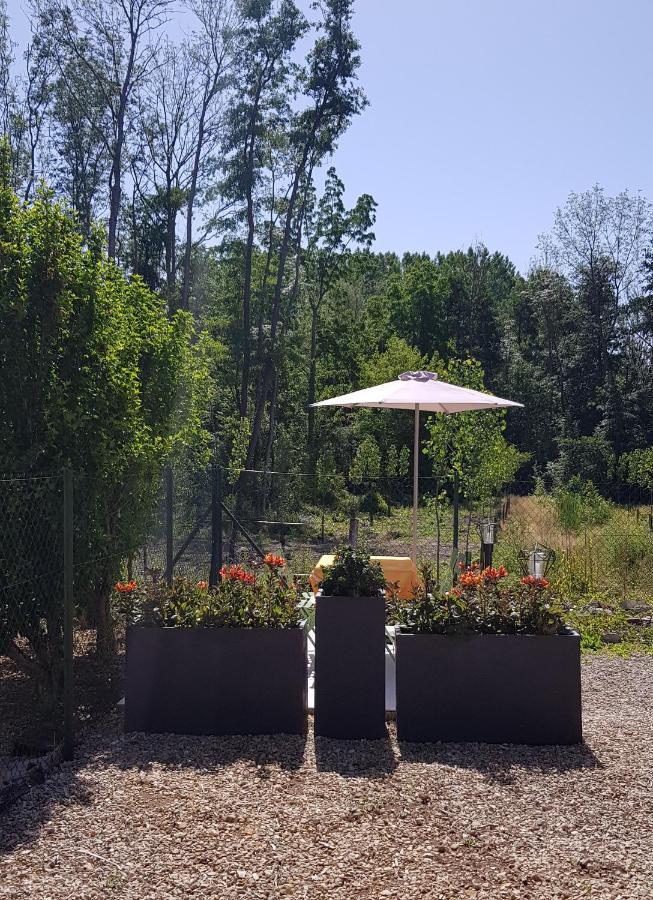 Agreable Petite Maison Proche Joigny Chamvres Kültér fotó